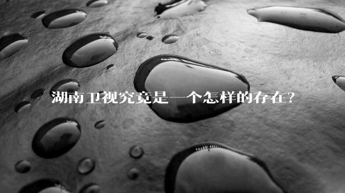 湖南卫视究竟是一个怎样的存在？