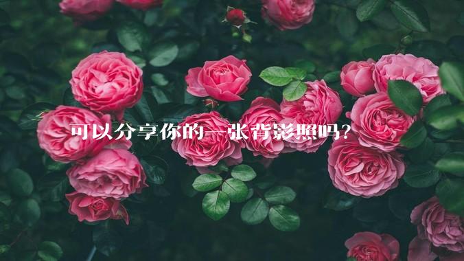 可以分享你的一张背影照吗？