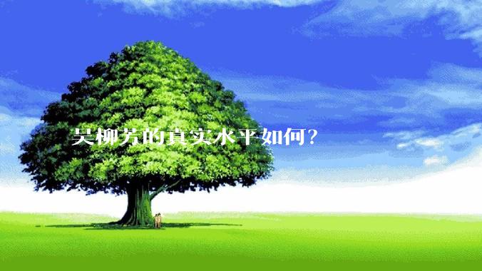 吴柳芳的真实水平如何？