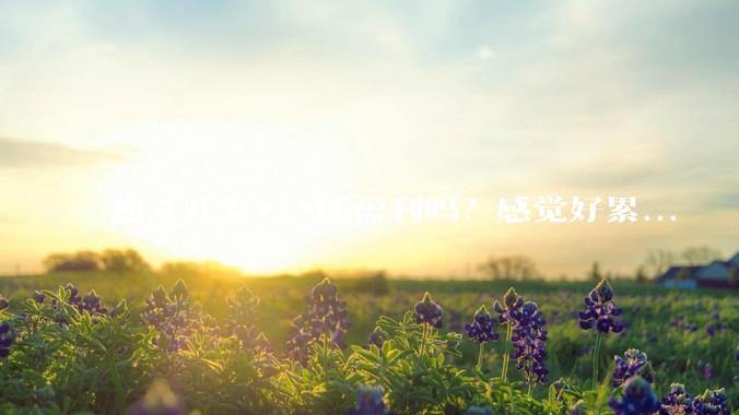 独立开发***能盈利吗？感觉好累...
